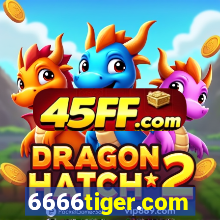 6666tiger.com