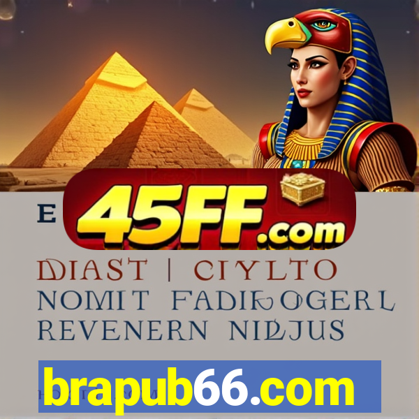 brapub66.com