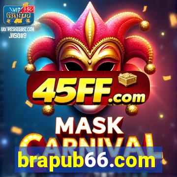 brapub66.com