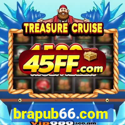 brapub66.com