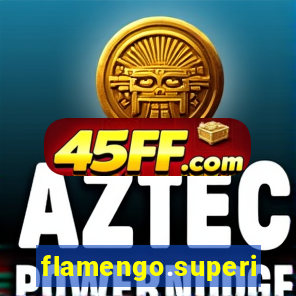 flamengo.superingresso