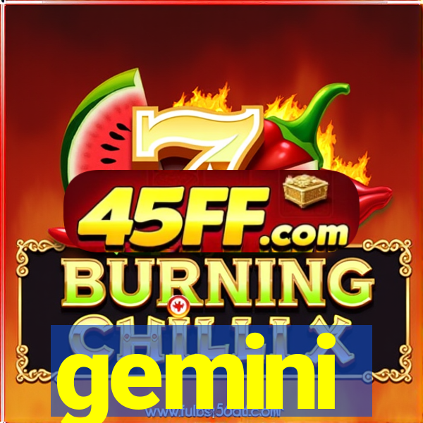 gemini-pp.com