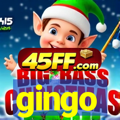 gingo