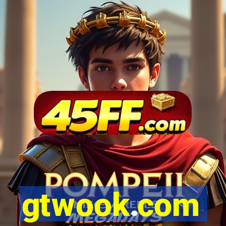 gtwook.com