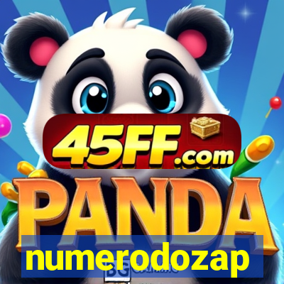 numerodozap