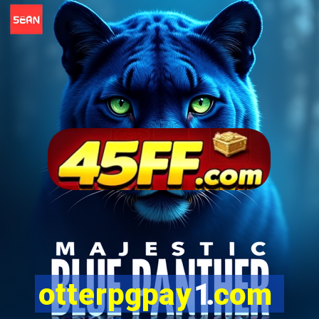 otterpgpay1.com