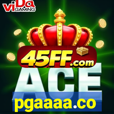 pgaaaa.co