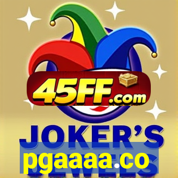 pgaaaa.co