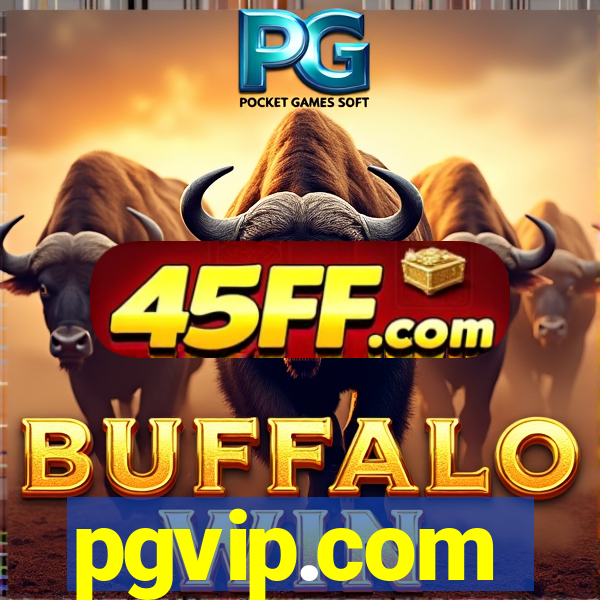 pgvip.com