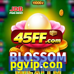 pgvip.con