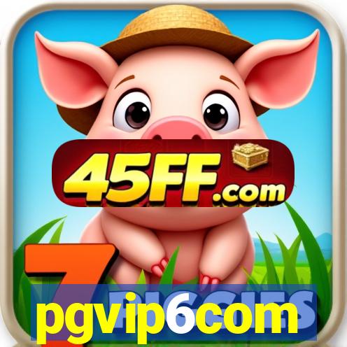 pgvip6com