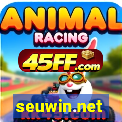 seuwin.net