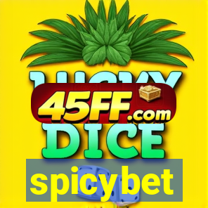 spicybet-2.com