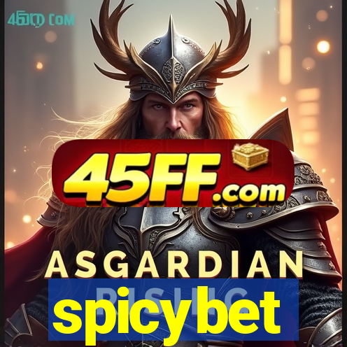 spicybet-2.com