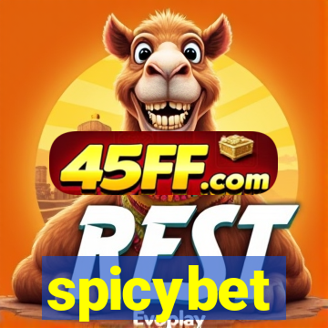 spicybet-3.com