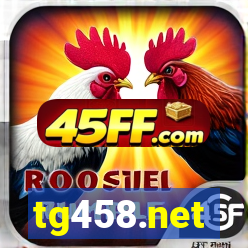 tg458.net