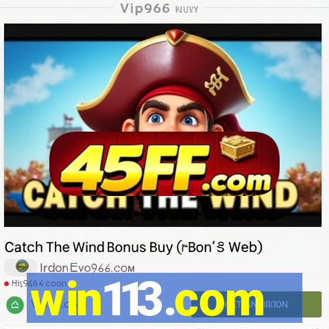 win113.com