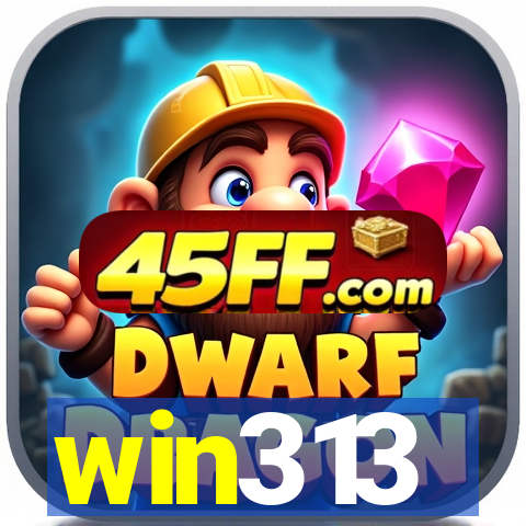 win313