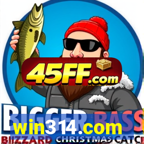 win314.com