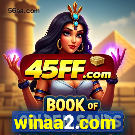 winaa2.com